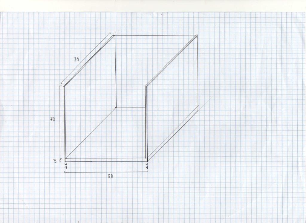 Abbiamo così disegnato la struttura e discusso sulle dimensioni che doveva avere per la miglior realizzazione dell esperimento tenendo conto della distanza tra specchio e volto nel foro, tra specchio