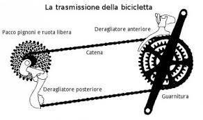 I rapporti Tutte le biciclette hanno il cambio, cioè la catena è collegata a ruote dentate (ingranaggi) posti sia