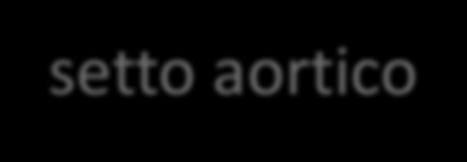 suddivisione dell aorta e arteria polmonare durante la quinta settimana nelle pareti del bulbo e del tronco arterioso compare una coppia di rilievi opposti questi rilievi si avvolgono l un l altro e