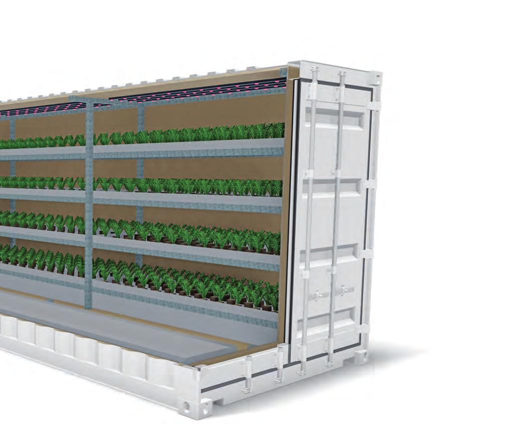 BoxXLand è un sistema di coltivazione idroponica che ospita, all interno di un container coibentato, tutto il necessario per la produzione indoor 365 giorni l anno.