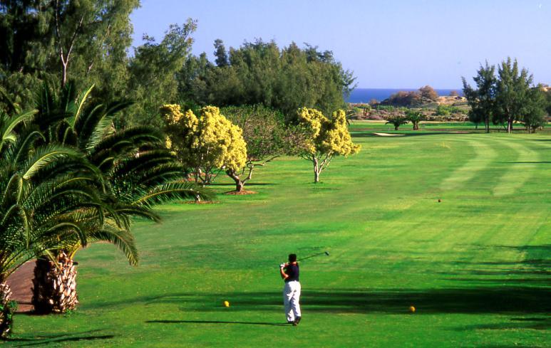 Real Club Las Palmas, El Cortijo Golf e Anfi Tauro Golf.