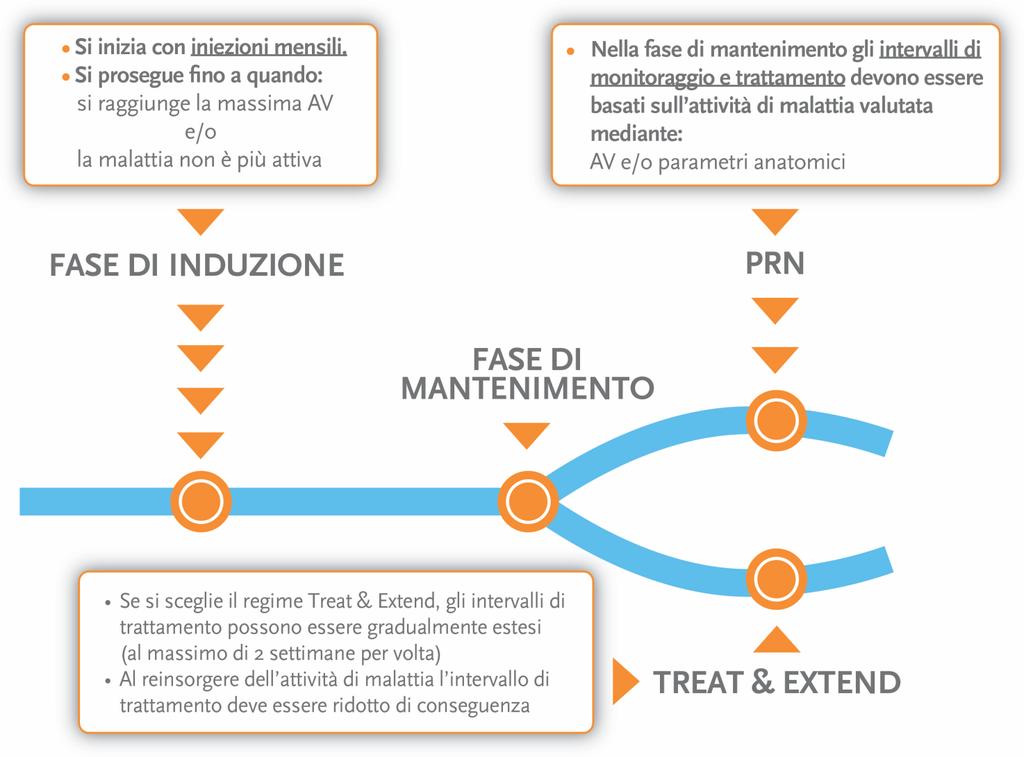 Panoramica del nuovo schema