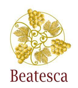 REGOLAMENTO D USO DEL SITO WWW.BEATESCA.