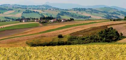 Stampa: Tipografia LAME - Castel Maggiore (BO) - 2017 INSIEME PER IL NOSTRO TERRITORIO PRODOTTI LOCALI E VARIETÀ ANTICHE Selezioniamo per voi i piccoli produttori locali che ogni giorno creano cibi