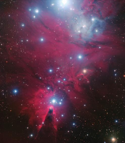 La nebulosa Cono e l ammasso stellare Albero di Natale sono ben riconoscibili nell immagine in alto, realizzata grazie ai dati raccolti dal Wide Field Imager dell osservatorio a La Silla, a 2400
