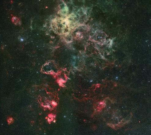 Preibisch Il caratteristico profilo a cui deve il proprio nome la nebulosa Testa di Cavallo (sotto) è diventato una delle immagini astronomiche più famose del mondo, prodotta componendo tre