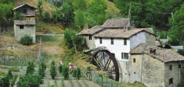 alle 16 Passeggiata botanica e osservazioni scientifiche DOMENICA 12 CONCORSO: POESIE AL VENTO alle 15.