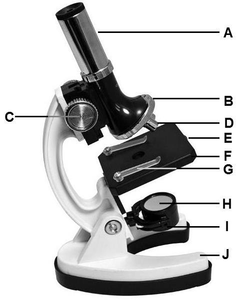 Manuale di istruzioni Congratulazioni per l acquisto di Monoview, microscopio 1200x di Omegon.