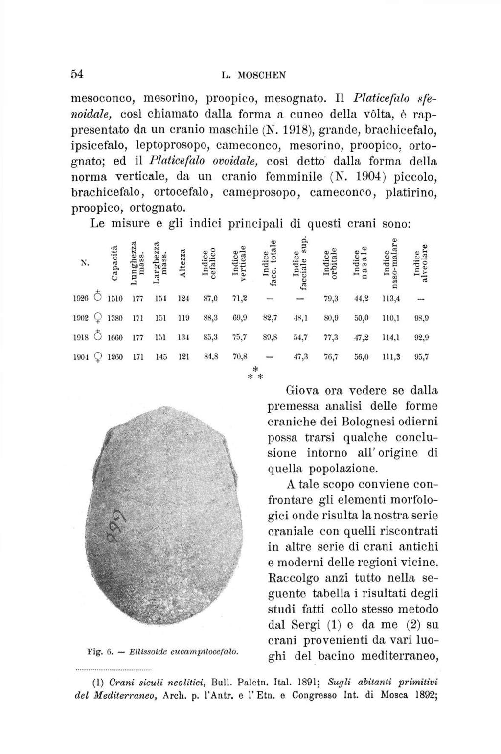 54 L. MÖSCHEN mesoconco, mesorino, proopico, mesognato. Il Platkefalo sfenoidale, così chiamato dalla forma a cuneo della vòlta, è rappresentato da un cranio maschile (N. 1918).