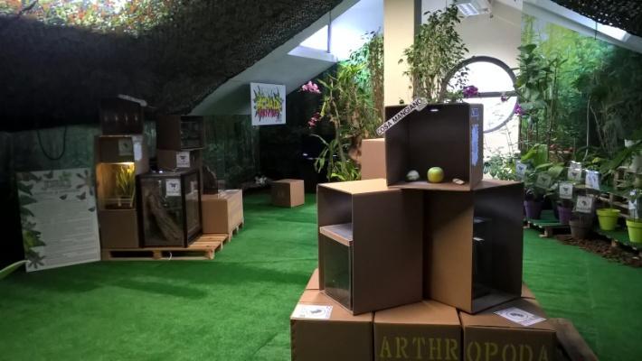 Mostra Parco Nord 2017 Dopo il successo di Welcome to the Jungle a Cascina Centro Parco