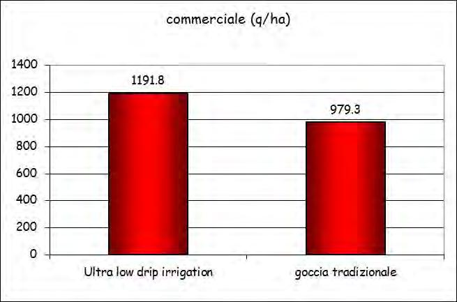 uso acqua su Kiwi CER 2012 resa