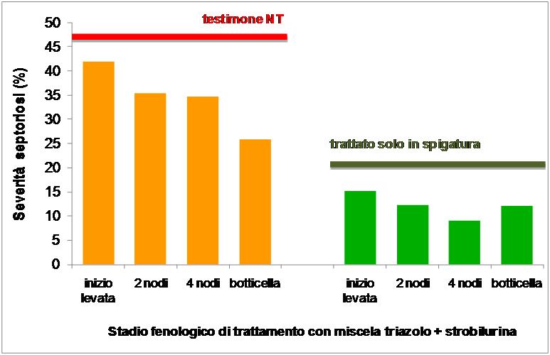 Insediamento Accestimento Maturazione