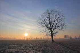 ritornandoci nelle varie stagioni principalmente nelle ore dell alba o del tramonto.