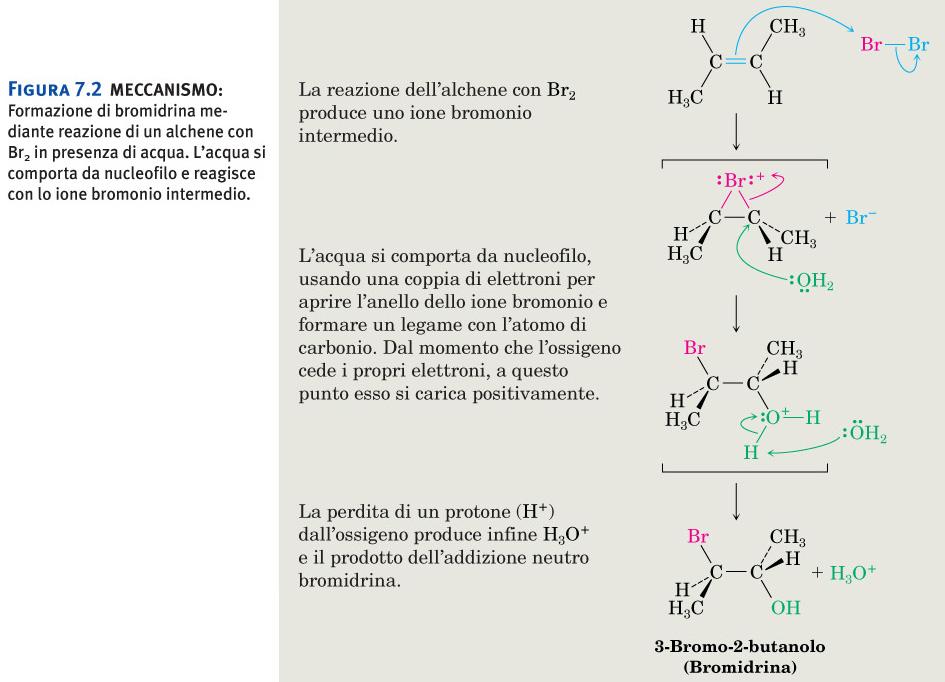 Alcheni: addizioni elettrofile Formazione di aloidrine Formazione di bromidrina mediante reazione di un