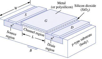 Transistore NMOS: Struttura Dispositivo a 4 terminali: Gate(G), Drain(D), Source(S) e Body(B).