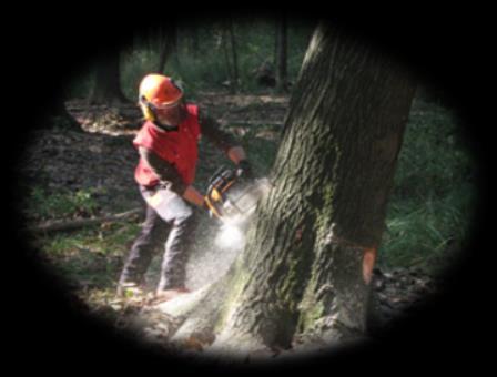 OPERATORI FORESTALI Corso BASE per operatore forestale Edizioni previste 1 Lavoratori che intendono operare in ambito forestale e/o che intendono conseguire la qualifica di Operatore Forestale