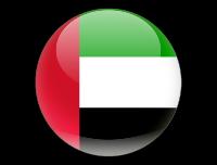BahrainKuwait 1% 6% Oman 8% Qatar 4% Saudi Arabia 60% UAE 21% La domanda in forte crescita dipende