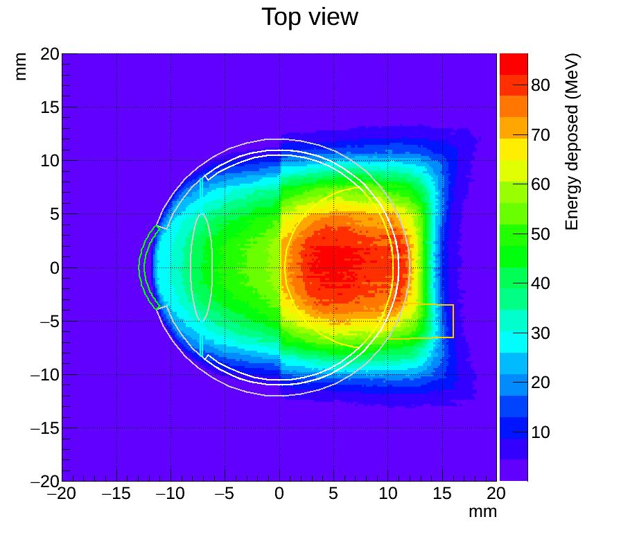 Dose Volume Histogram (protoni) http://iopscience.