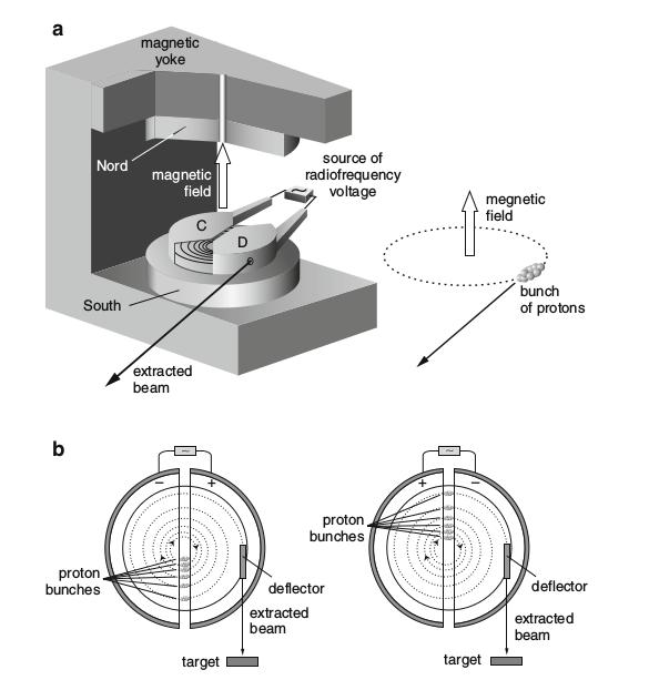 4.1. Acceleratori 4. Strumentazione attuale e sviluppi futuri Figura 4.1: Struttura e funzionamento di un ciclotrone.