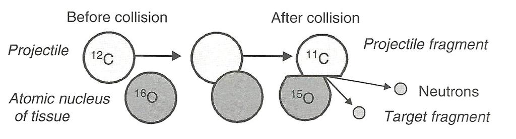 4.4. La real-time PET 4. Strumentazione attuale e sviluppi futuri Figura 4.15: Illustrazione schematica di due possibili reazioni [10]. Emettitore β + T 1/2 11 C 20.4 min 10 C 19.