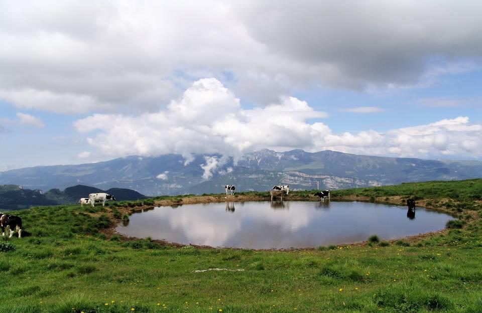 Mantenimento di prati, prati