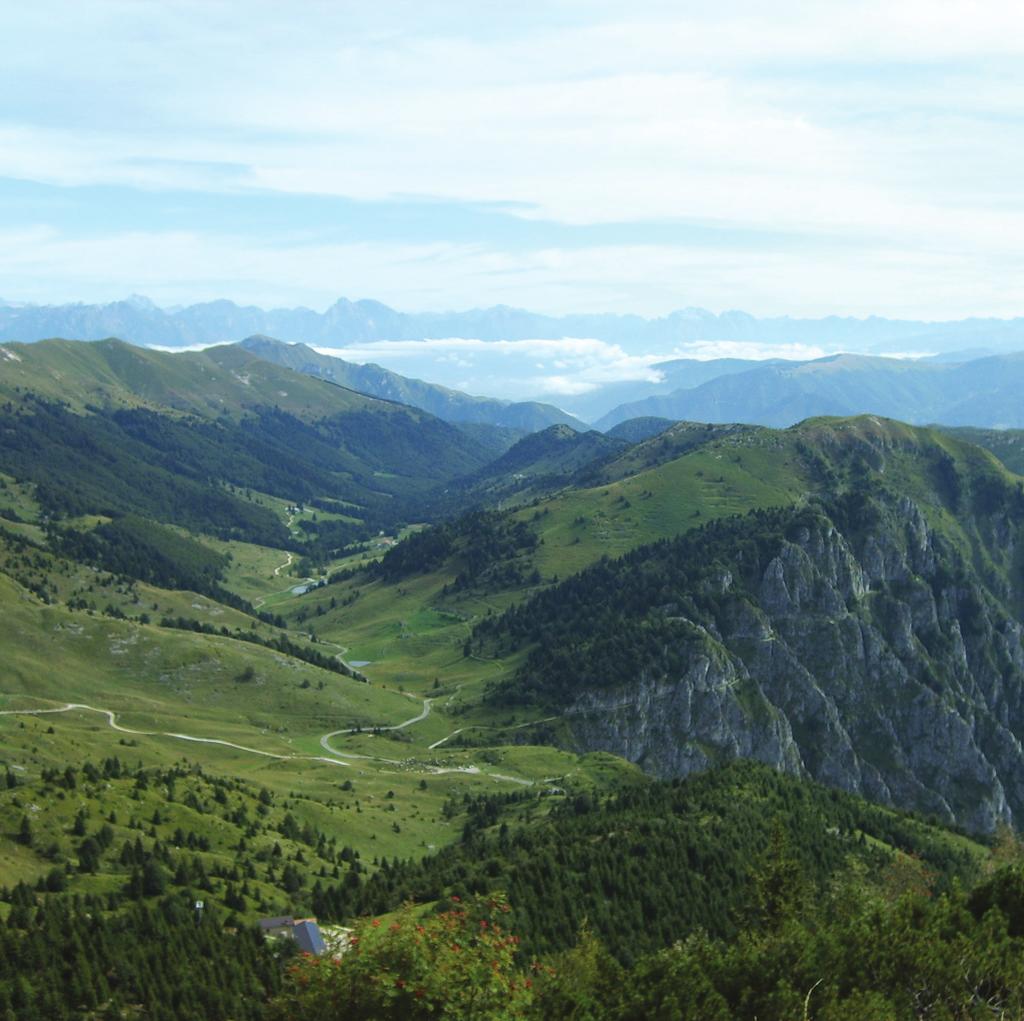 il Volo dei Rapaci sul Grappa Finalità Il progetto prevede la dimostrazione di volo di