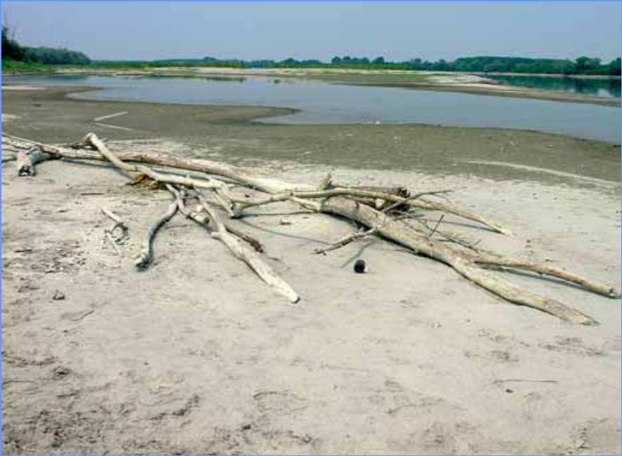 LA VARIABILITÀ CLIMATICA ACCRESCE LE NECESSITÀ IRRIGUE Negli ultimi 10 anni la variabilità climatica è stata molto pronunciata: Piovosità totale ridotta del 10-30% Meno eventi e più intensi, minore