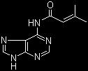 Citochinine sintetiche Isopentenil adenina Zeatina riboside benziladenina Citochinine: composti con attività biologica simile a quella della trans-zeatina -Induzione divisione cellulare