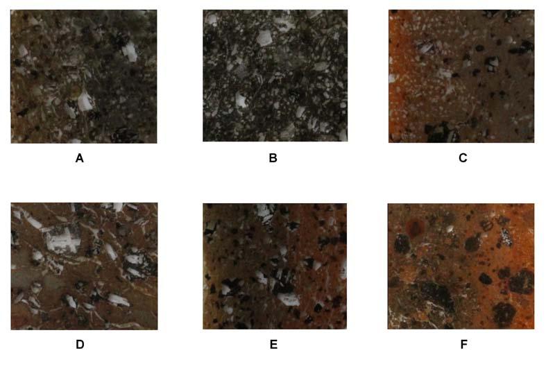 Fig. 3 Monte San Paolillo (CT): alcuni pithoi (disegni C. Veca, scala 1:6) (VECA 2015) Fig.