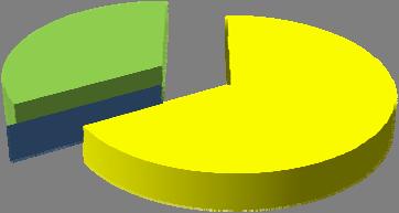 hanno uno stato buono, solo il 31 % si trova in stato sufficiente, non vi sono CI con stato inferiore al sufficiente.