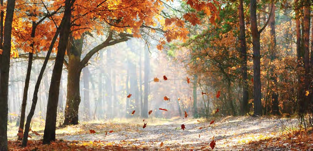 Rispetta la Natura, non lasciare tracce del tuo passaggio. Settembre / September / September Non abbandonare rifiuti, possono contaminare l ambiente.