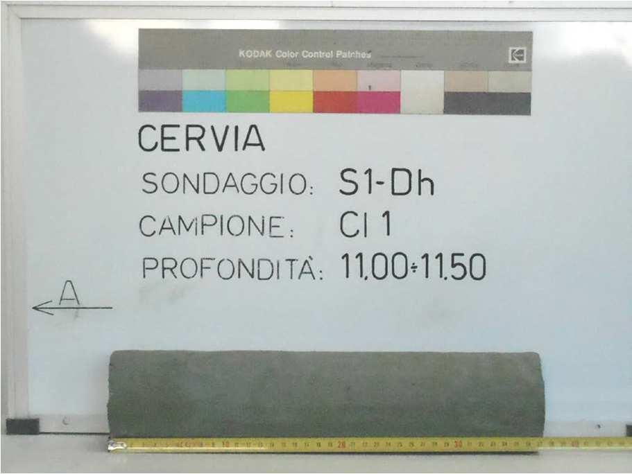 La MS di Cervia: le nuove indagini CAMPIONI INDISTURBATI (SONDAGGIO PINARELLA/TAGLIATA DI CERVIA) PROVE COLONNA RISONANTE INOLTRE PROVE