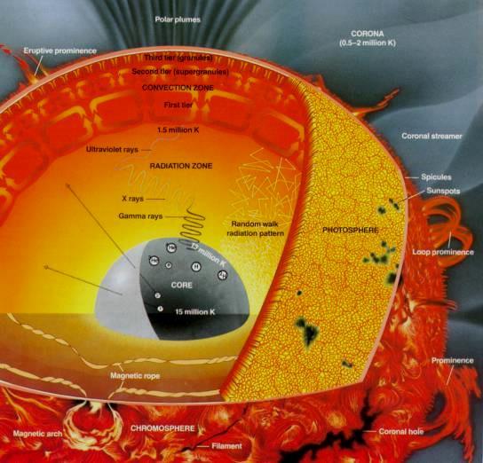 Il Sole struttura stellare interna Nucleo 0 0,25 R Dove viene prodotta l energia La fusione nucleare Nucleo trasforma 7 10 11 kg al secondo di idrogeno in elio Zona Radiativa 0,25 0,75 R l energia