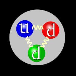 Il neutrone Classificazione: Composizione: Famiglia: Interazione: Antiparticella: barione 1 up, 2 down Fermione Gravità, Elettromagnetica, Debole,