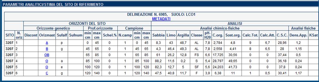 Dati analitici del sito 3207 Come si può notare c è una buona corrispondenza fra i valori di tessitura, sostanza organica e ph fra i dati del SACT e quelli relativi all orizzonte superficiale del