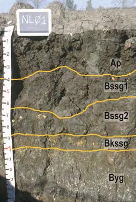 Presenta il tetto delle ghiaie fra 80 e 150 cm (2C) Suolo CANALE SPECCHIO.