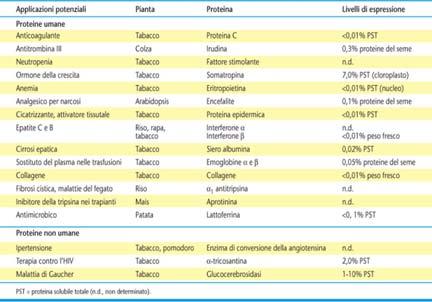 trascrizionali, al fine di ottenere un efficace produzione di proteine ricombinanti.