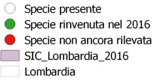 specie Obiettivo: SIC da indagare SIC Indagati nel 2016/sopralluoghi Triturus carnifex 40 20/39 Salamandra atra