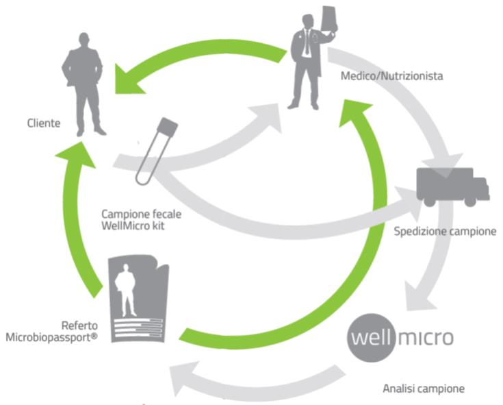 1. Wellmicro fornisce il Collection Kitper il campionamento fecale 2.