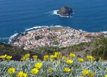L attrazione del luogo è una Dracena millenaria spettacolare. Proseguimento per Garachico, fondata dal banchiere genovese Cristoforo De Ponte dopo la conquista di Tenerife nel 1496.