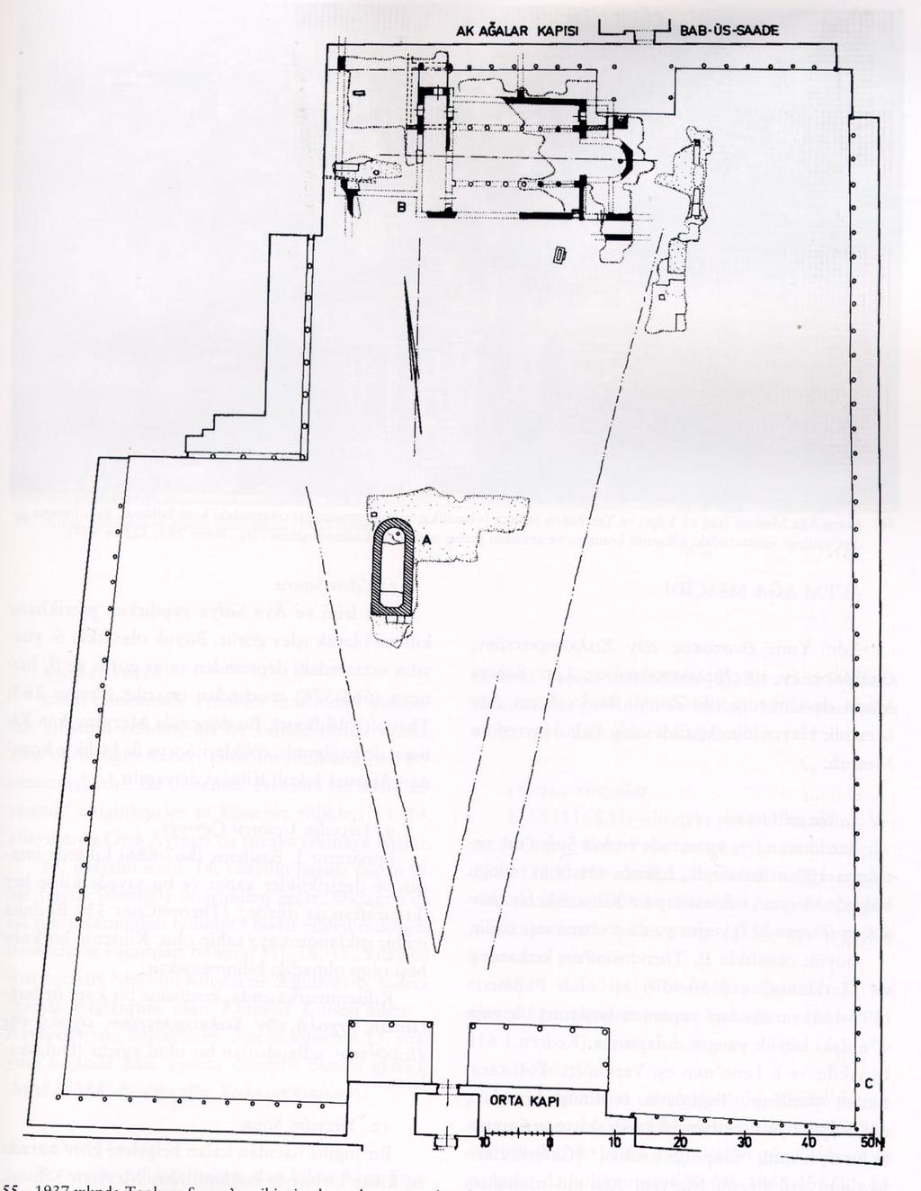 BASILICA PALATINA Nel 1937 vengono riportati