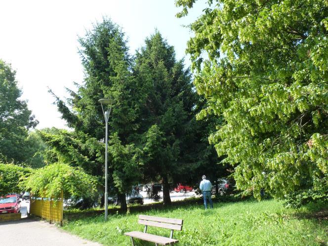 Foto 34 Prima di arrivare al parcheggio del supermercato, sulla destra rispetto