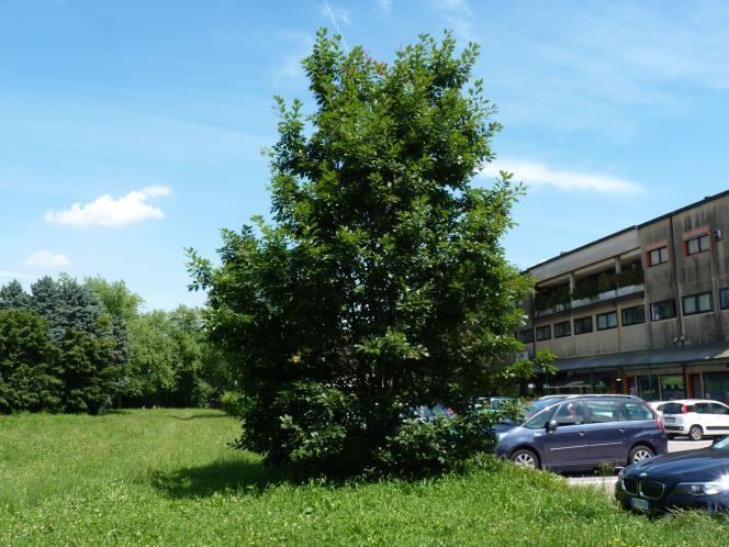 Il percorso inizia a Sud dal cancelletto giallo di entrata, contornato da Glicine, svoltando a destra e lasciando sul fianco destro il