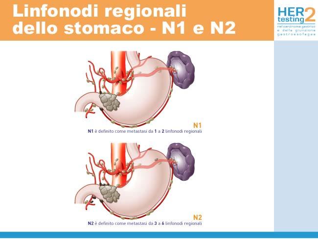 Figura 5