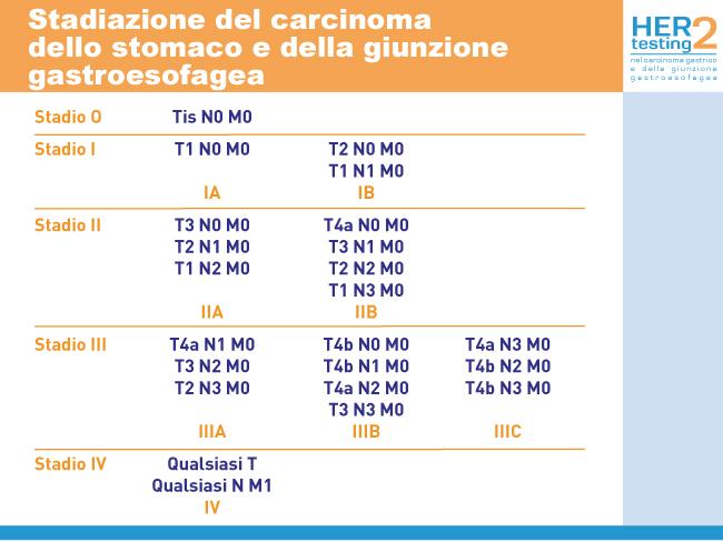 Stadiazione Lo stadio della malattia può essere definito in diversi momenti della patologia oncologica, distinguendosi una stadiazione clinica pre-trattamento ed una stadiazione patologica