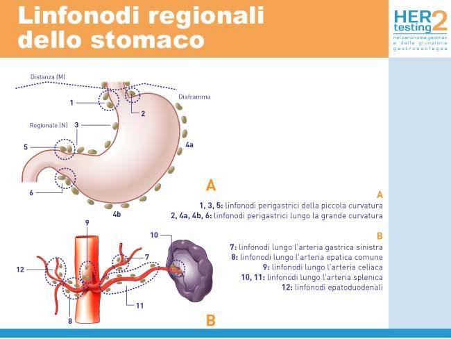 Figura 4