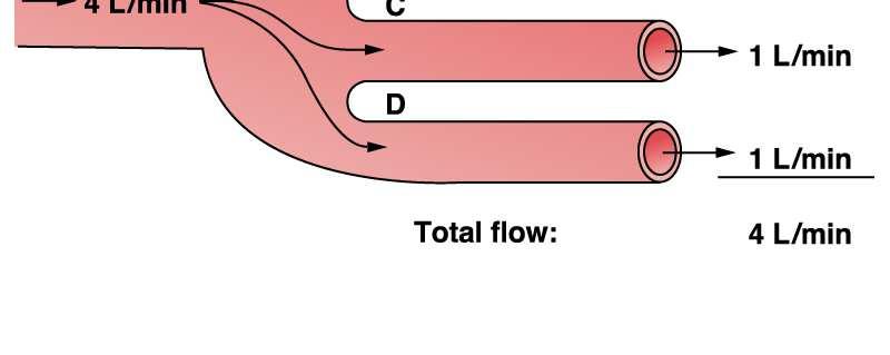 a seconda delle singole esigenze metaboliche.