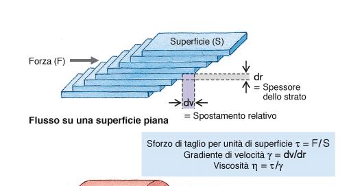 Velocità lamine di liquido in movimento in un condotto aperto cresce dal fondo verso la