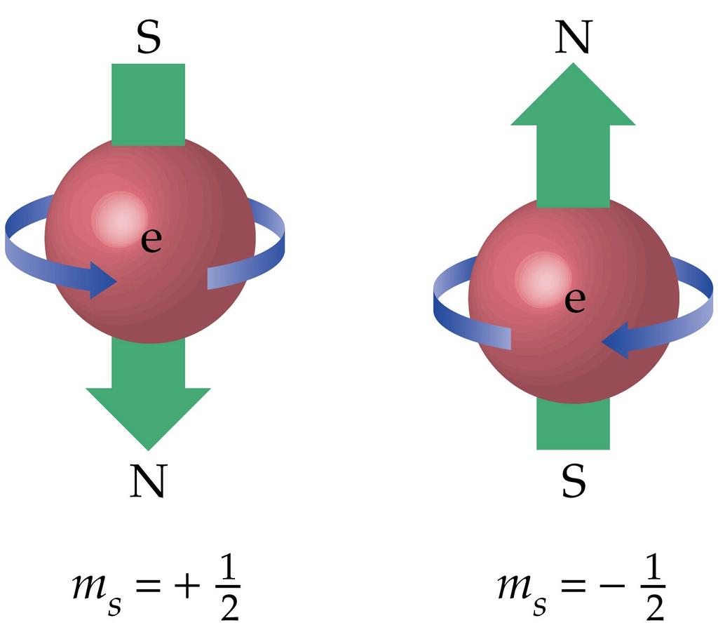 Per ciascun livello di energia, il numero di orbitali varia. Per n 1 c è solo l orbitale 1s, che può contenere due elettroni.