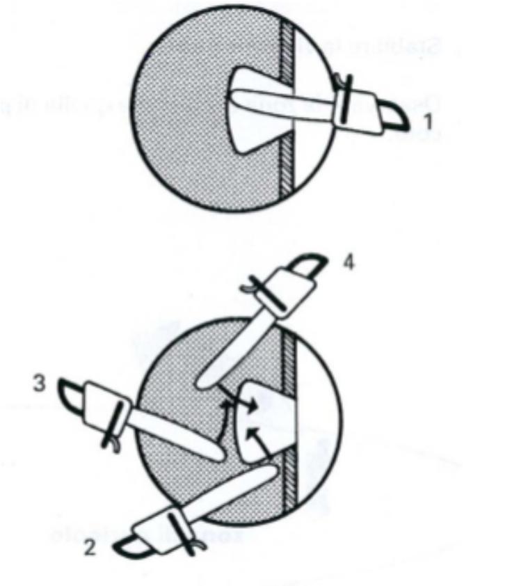 Tipi di taglio Il taglio a cuore Si usa su tronchi di diametro più che doppio rispetto alla lunghezza della lama di guida.